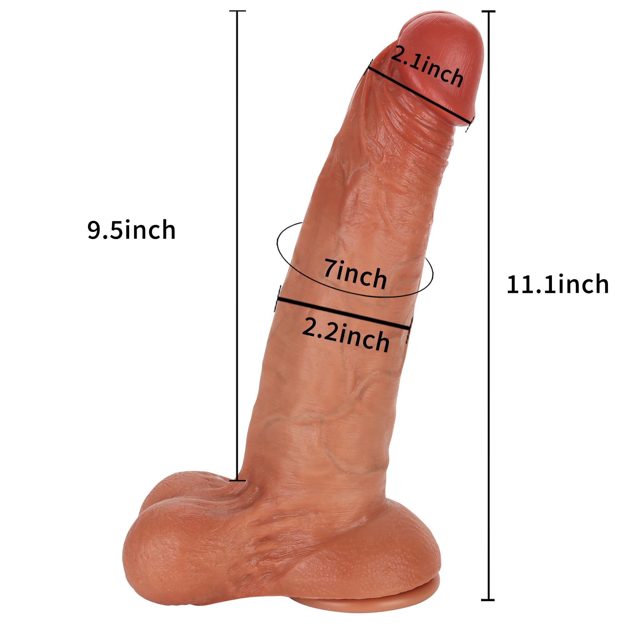 Levi 11 inch Lifelike Ultra Realistic Dildo Real Glan with Balls