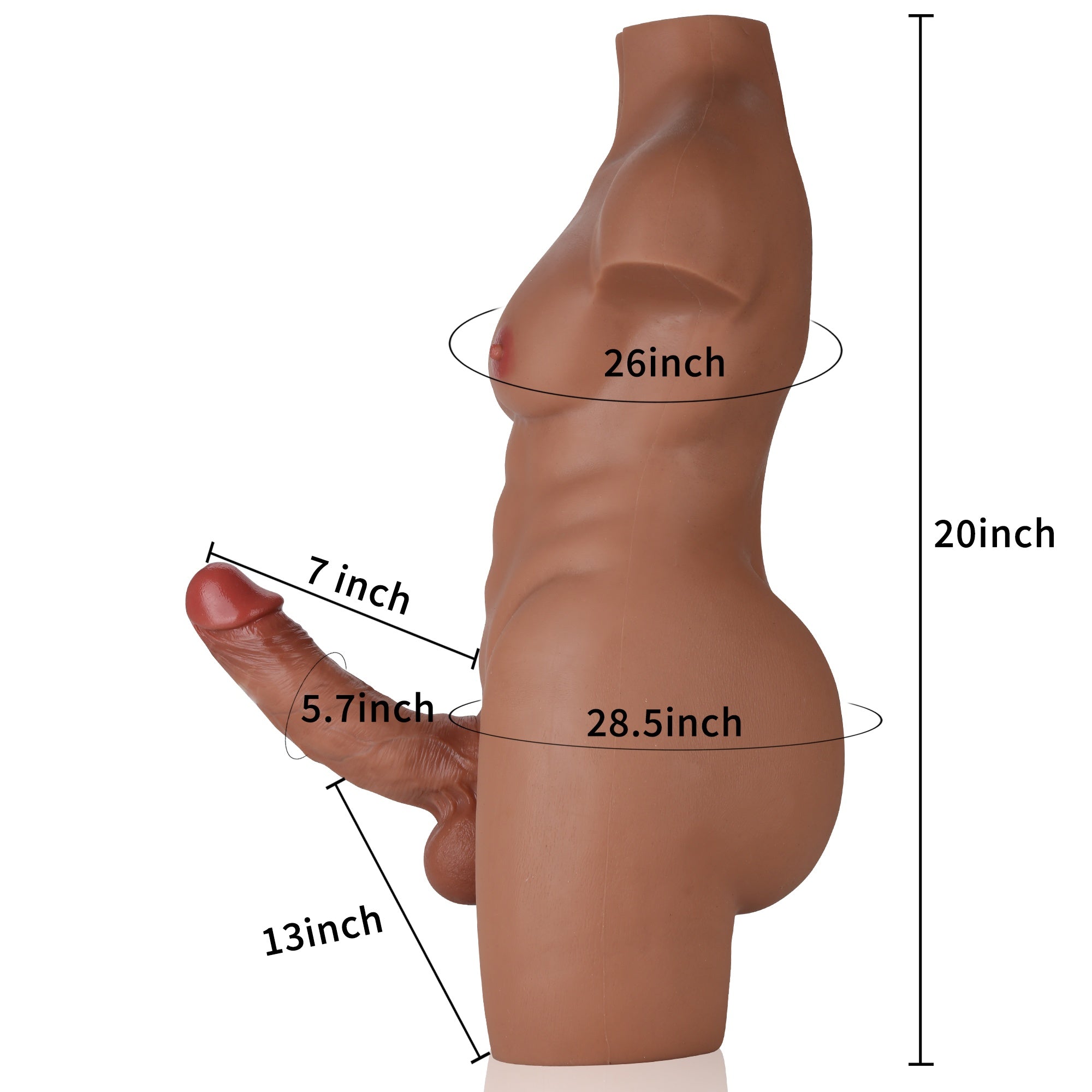 DONGTOY Tom 28lb With James 7 inch Realistic Torso Dildo (Brown)