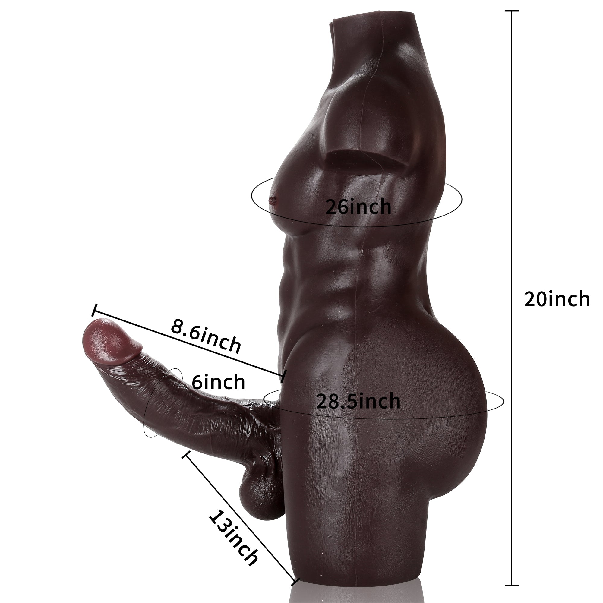 DONGTOY Tom 28lb Muscular Male Torso - Black Detachable 8" David Dildo